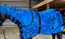 Load image into Gallery viewer, Magnetic Sheet, 2026 Color