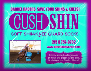 CushShin Socks Footless