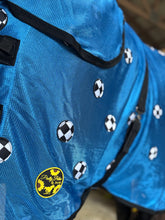 Load image into Gallery viewer, Magnetic Sheet, 2026 Color