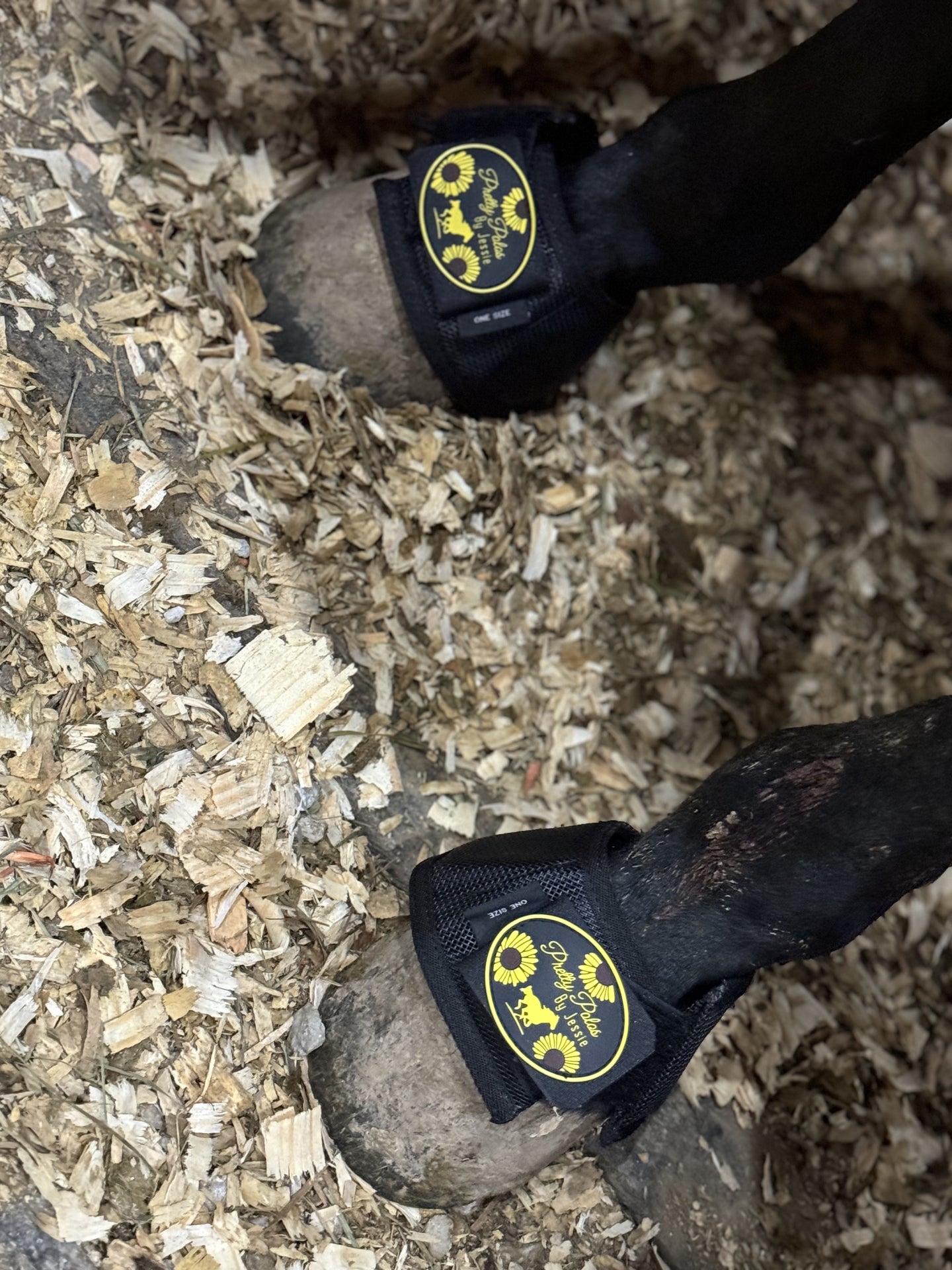 Magnetic Bell Boots Pretty Polos By Jessie Lopin With Grace Tack LLC