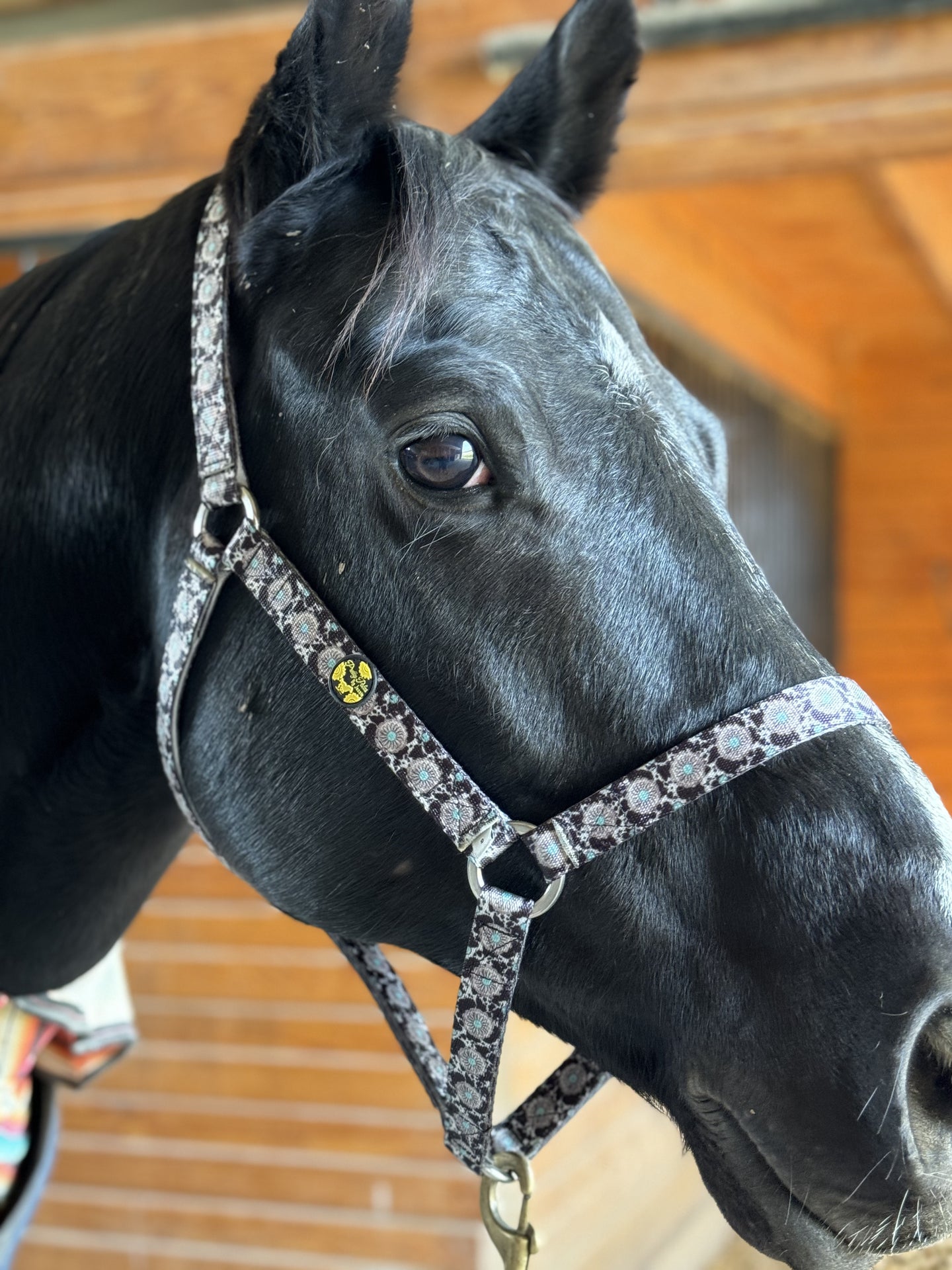 Highland Cowjewel Halter