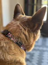 Load image into Gallery viewer, Dog Collars