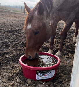 DAC pasture lick