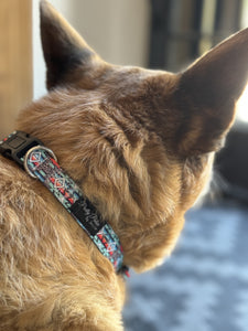 Dog Collars