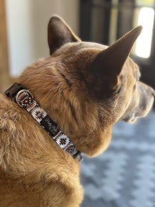 Dog Collars