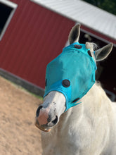 Load image into Gallery viewer, Magnetic Therapy Fly Mask