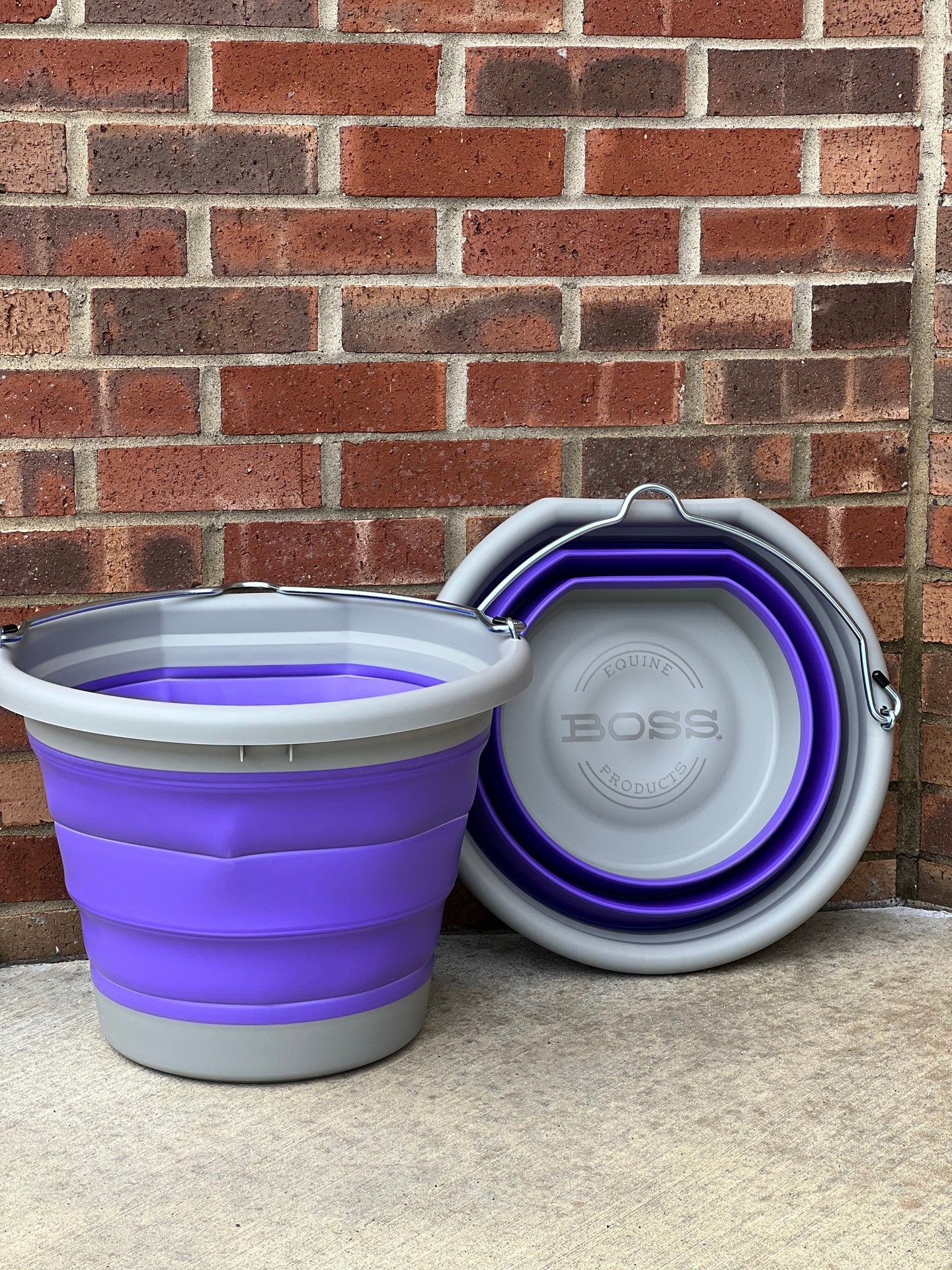 Purple Boss Bucket